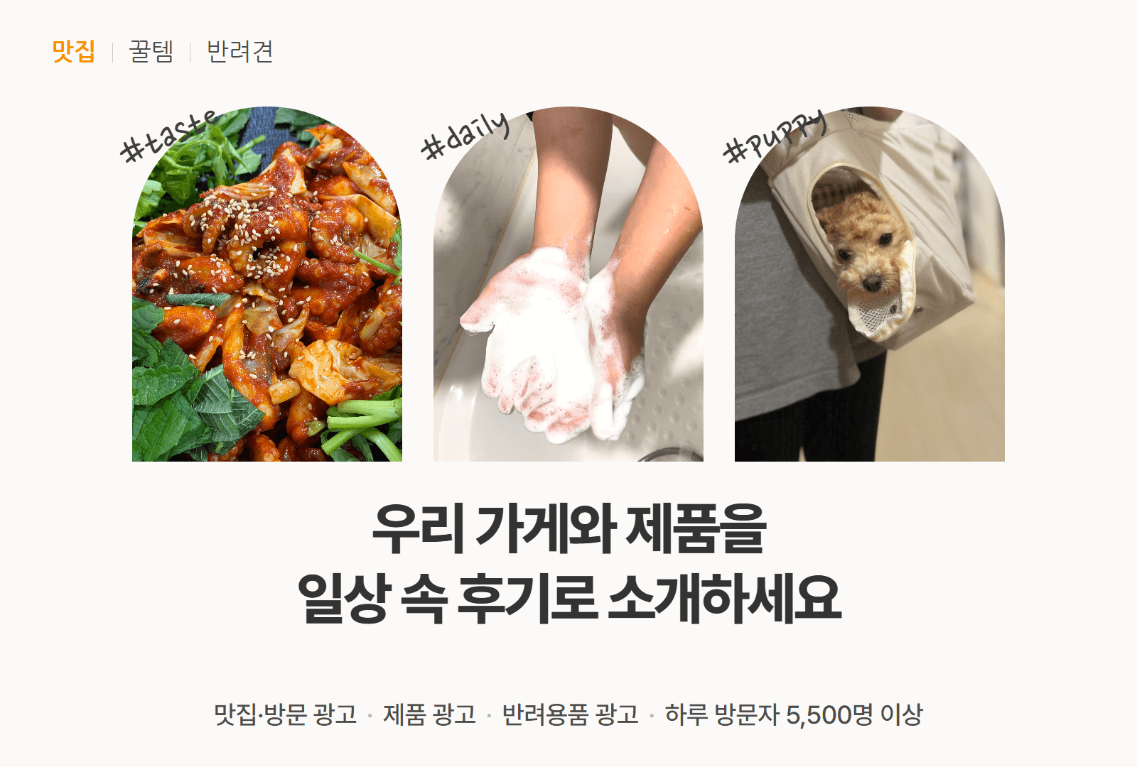 맛집/뷰티&건강/펫 광고 블로그 포스팅